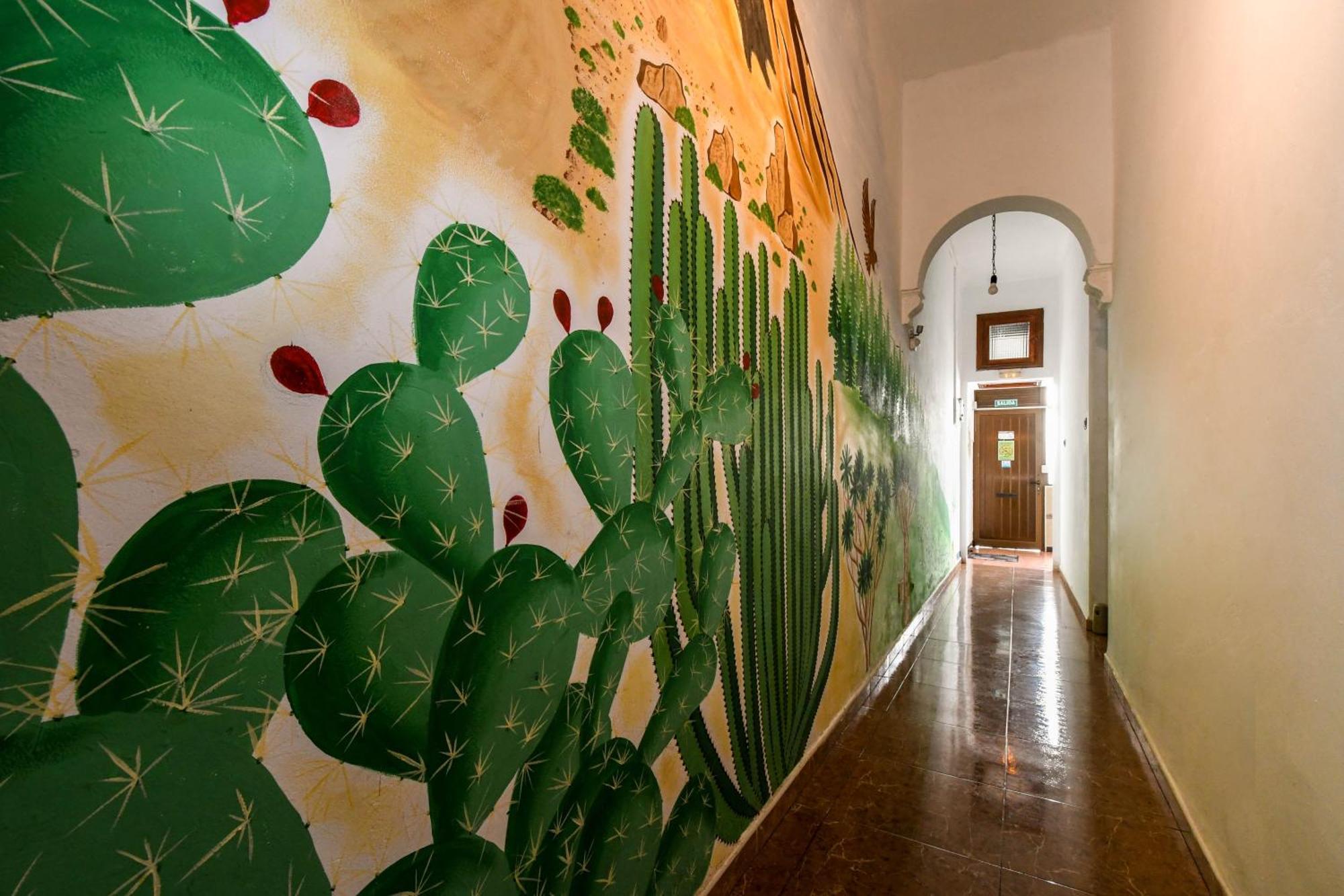 Drago Hostel Икод-де-лос-Винос Экстерьер фото